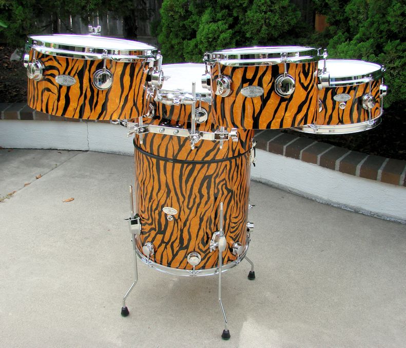 Jungle Cat Happy Hour Drums